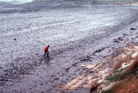 Amoco Cadiz