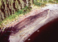 Exxon Valdez