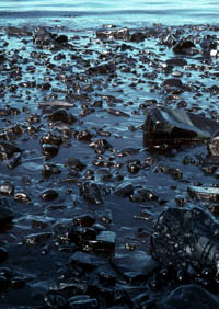 Exxon Valdez