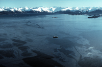 Exxon Valdez