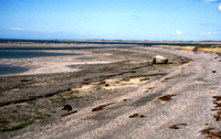 Metula ferry