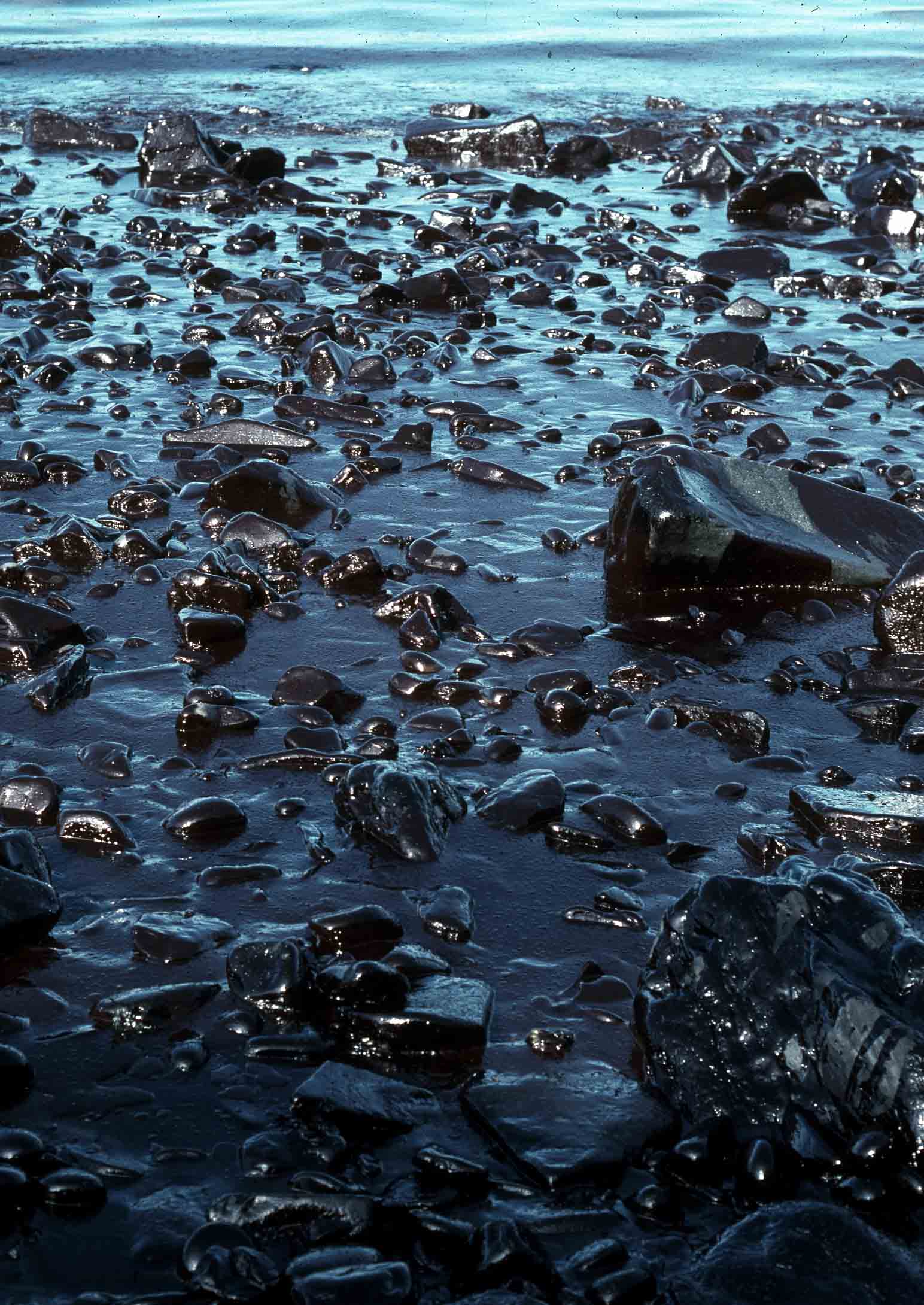 Нефть загрязняет воду. Разлив нефти Exxon Valdez. Глобальные загрязнители вод мирового океана. Черное море загрязненное нефтепродуктами. Нефтепродукты в мировом океане.